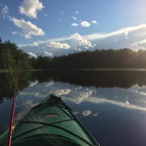 Meet your Posher, Sally